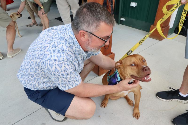 Allan Doonan of Rehoboth Beach and Milo, one of the dogs that is currently at HAP and looking for a forever home.